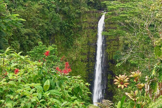 Volcanoes&Stargazing Exclusive Private Van Charter - Who Should Consider This Tour?