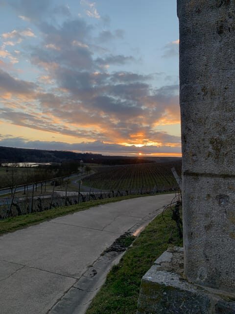 Volkach/Fahr: Wine Spirit Rebellion wine hike - The Vineyards and Wines