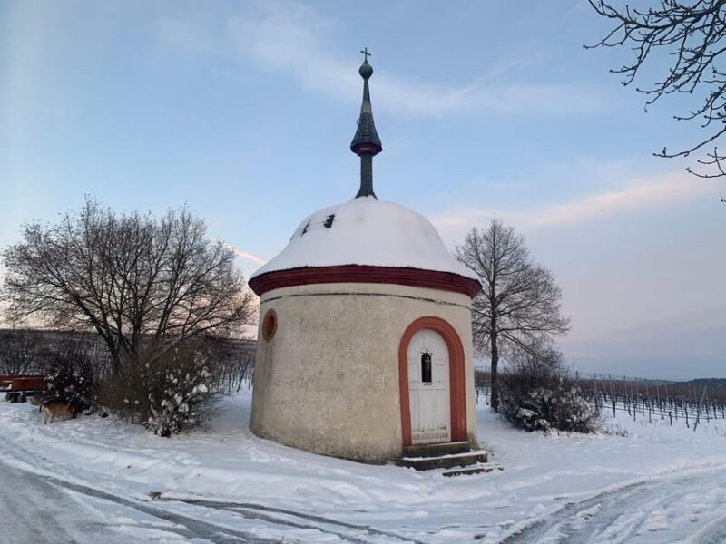 Volkach/Fahr: Wine Spirit Rebellion wine hike - What You Can Expect on the Day