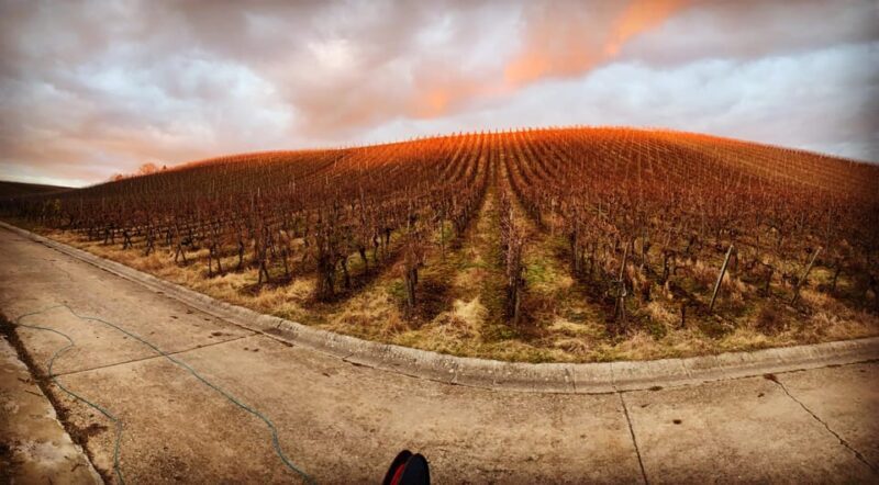 Volkach/Fahr: Wine Spirit Rebellion wine hike - Who Will Love This Tour?