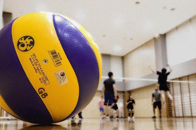 Volleyball in Osaka & Kyoto with Locals! - Who Would Enjoy This Experience?