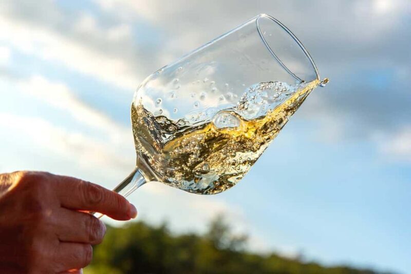 Volterra: Winery Tour with Tastings and Panoramic Views - Practical Details and What to Expect