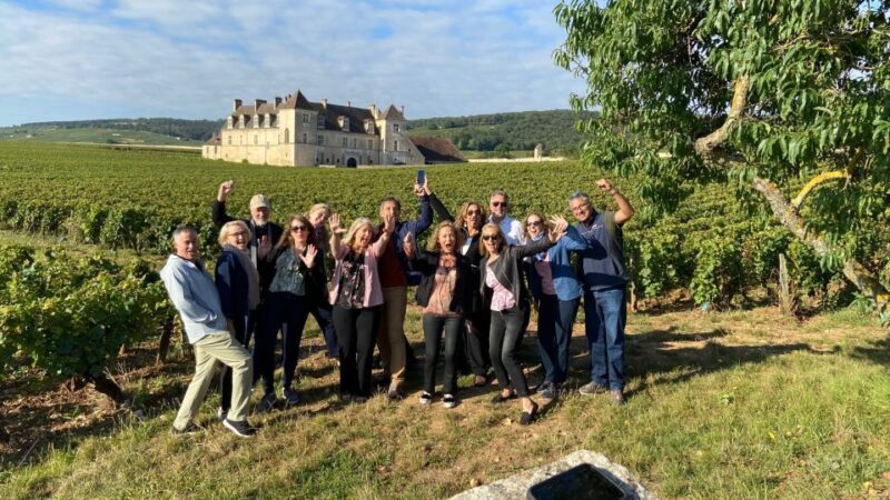 Vosne-Romanée: Private Vineyards Walking Tour with Tasting - A Closer Look at the Experience