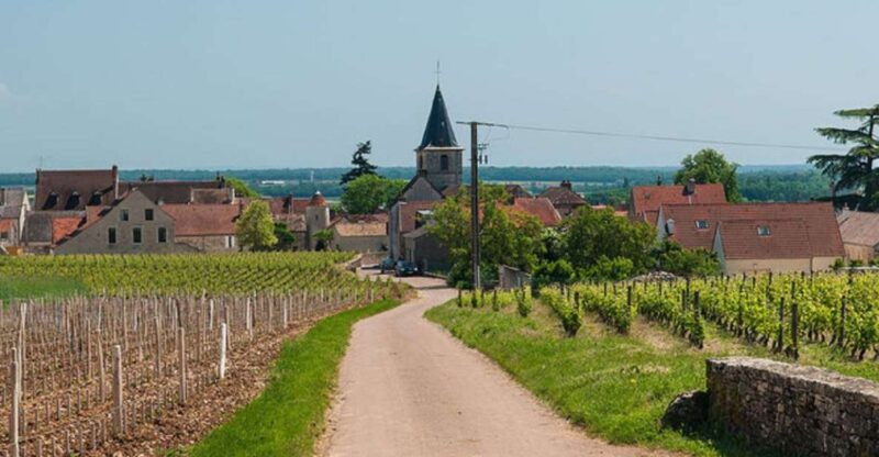 Vosne-Romanée: Private Vineyards Walking Tour with Tasting - What’s Not Included