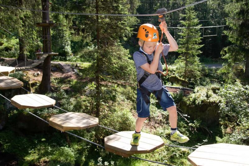 Voss High Rope Course: Mini & Micro Course - Key Points