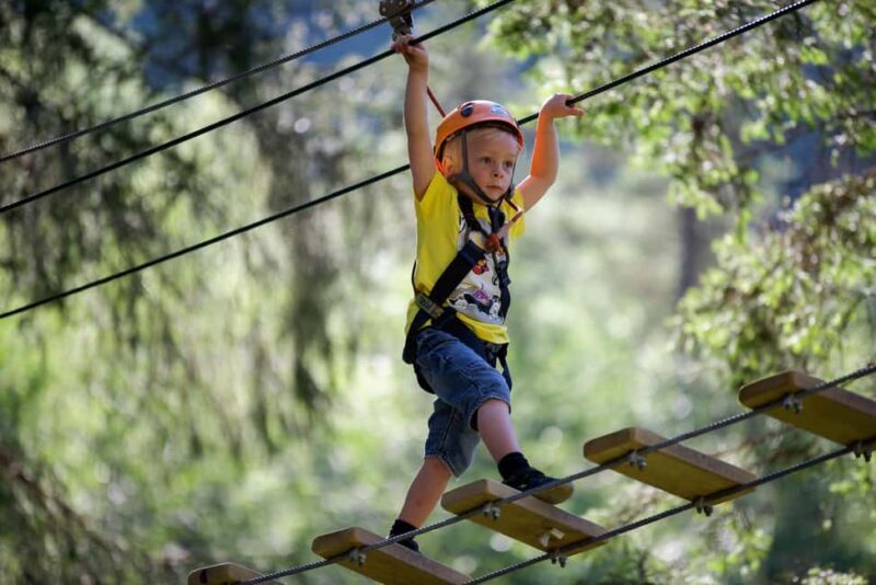 Voss High Rope Course: Mini & Micro Course - Final Thoughts