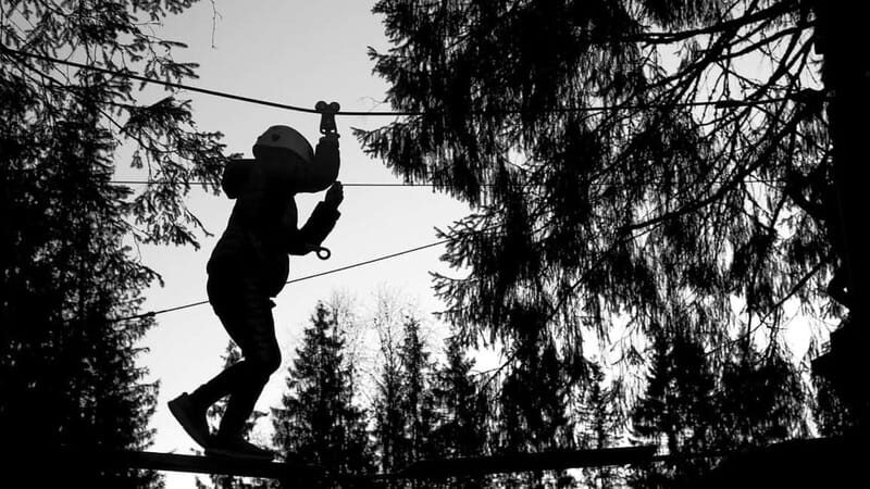 Voss High Rope & Zipline Park - Key Points