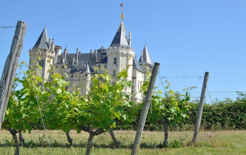Vouvray wine half-day tour from Tours - Is this tour right for you?