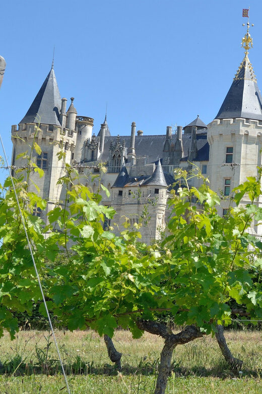 Vouvray wine half-day tour from Tours - FAQ