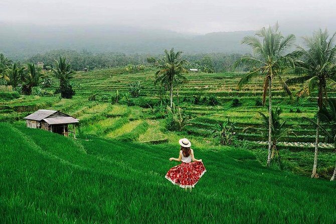 Voyage Prive à Tanah Lot, Jatiluwih, est Cascade Bali avec Un Guide Francophone - An In-Depth Look at the Tour Experience