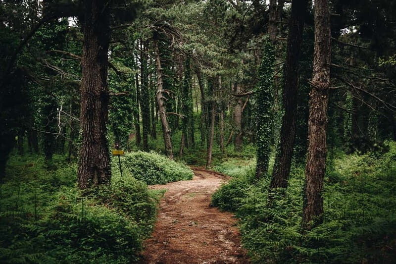 Vrmac Hill E-MTB Adventure - FAQ