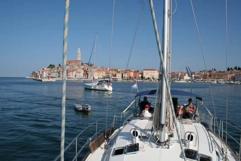 Vrsar: Dolphin Watching and Sightseeing Private Day Cruise - What to Expect from the Vrsar Dolphin Watching and Sightseeing Private Cruise