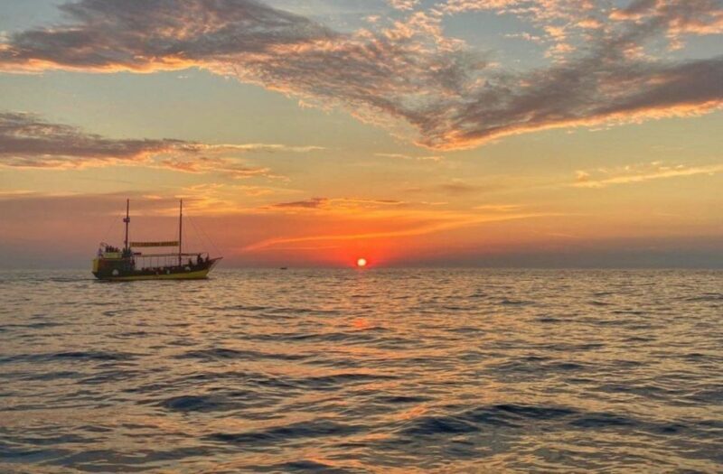 Vrsar: Dolphin Watching Boat Tour including Drinks - Key Points