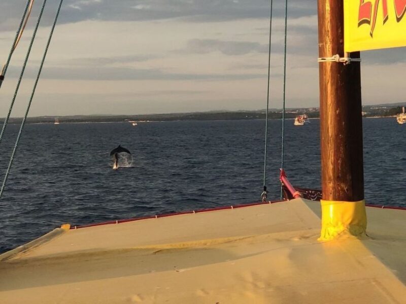 Vrsar: Dolphin Watching Boat Tour including Drinks - Frequently Asked Questions