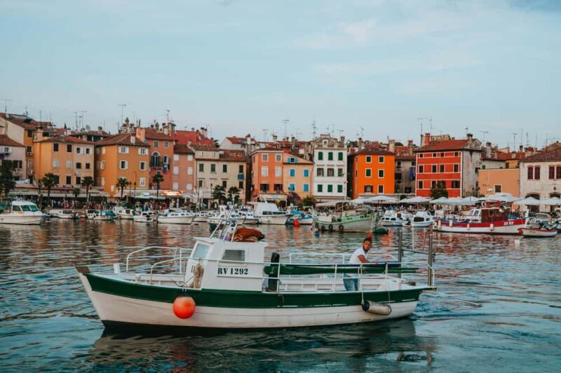 VRSAR: Night Boat Tour to Rovinj with Dolphin Watching - What to Expect During the Tour