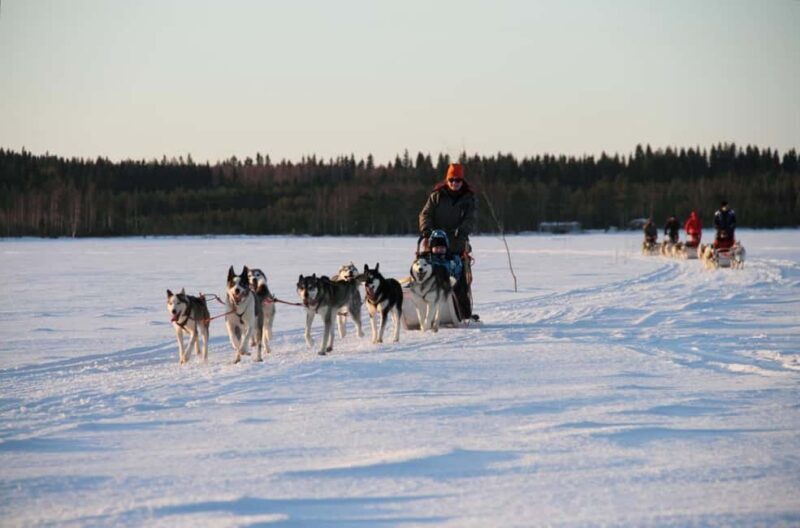 Vuokatti: Husky Sled Ride with Hot Berry Juice & Biscuits - Post-Ride Warm-up: Hot Berry Juice & Biscuits