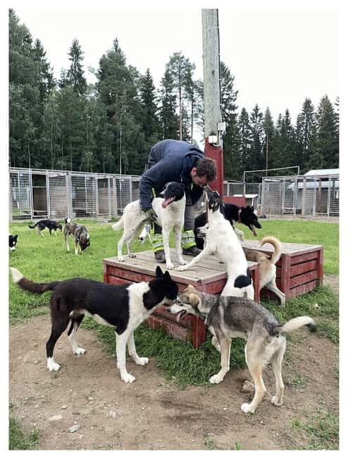 Vuokatti: Life with Huskies Experience - Key Points