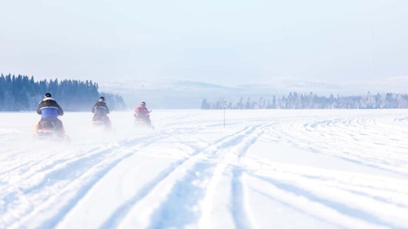 Vuokatti: Snowmobile Safari with Lunch at Haapala BnB - Who Should Consider This Tour?