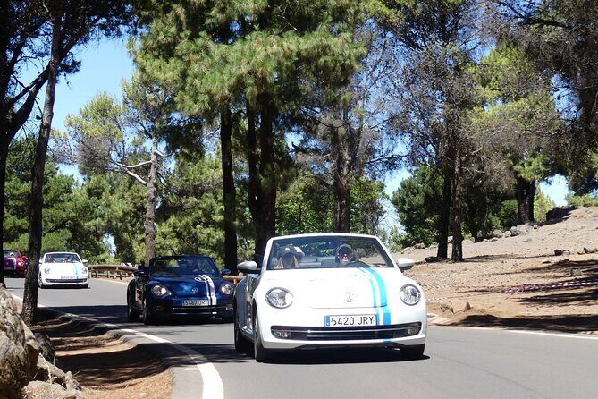 Vw Beetle Convertible Island tour Discover the island on a different way - The Sum Up