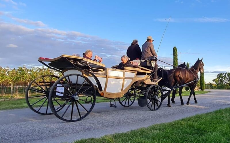 Wachau porcelain carriage A sparkling carriage ride through the vineyards - An In-Depth Look at the Wachau Porcelain Carriage Experience