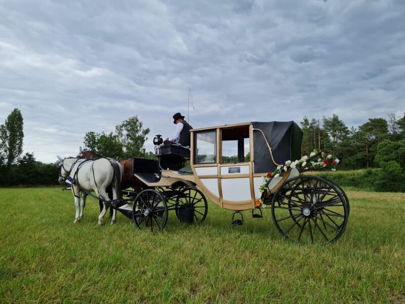Wachau porcelain carriage A sparkling carriage ride through the vineyards - Who Will Love This Experience?