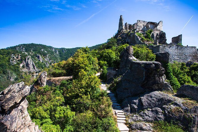 Wachau Valley Wine Tasting Bike Tour from Vienna - Who Is This Tour Best For?