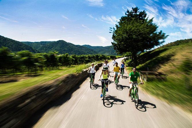 Wachau Valley Wine Tasting Bike Tour from Vienna - Final Thoughts