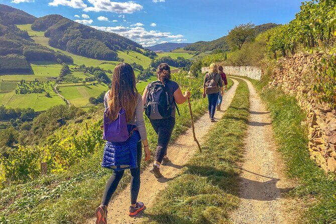 Wachau World Heritage Hike - Exploring the Wachau World Heritage Hike: An Authentic Austrian Adventure