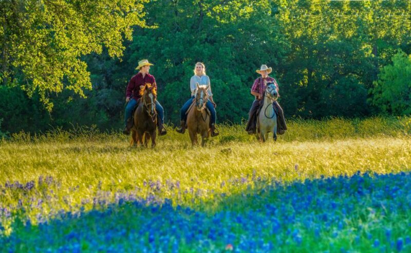 Waco: Horseback Riding Tour with Cowboy Guide - An In-Depth Look at the Waco Horseback Riding Tour