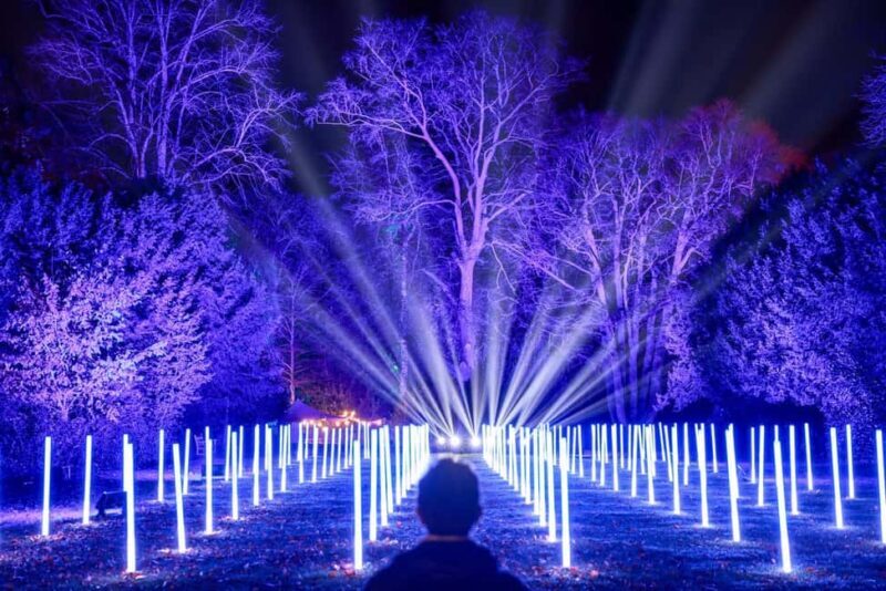 Waddesdon: Christmas at Waddesdon Manor - Who Would Love This Experience?