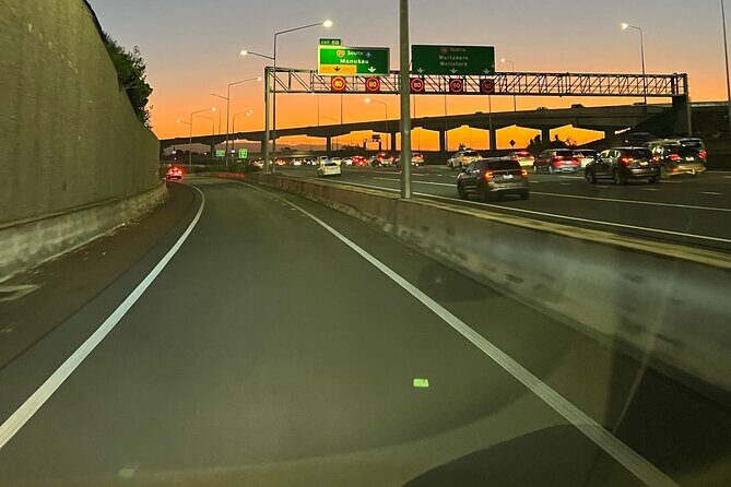 Wai-O-Tapu and Te Puia Day Trip Transport from Auckland - Who Will Appreciate This Tour?