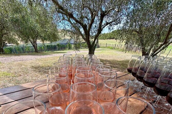 Waiheke Island: Afternoon Wine Affair with Ocean Front Lunch - Practical Details & Tips