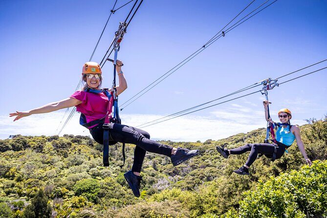 Waiheke Island Day Tour: Ziplining, Wine Tasting & Vineyard Lunch - Exploring the Waiheke Island Day Tour: Ziplining, Wine Tasting & Vineyard Lunch