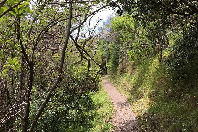 Waiheke Island Double Headland Coastal Walk - Key Points
