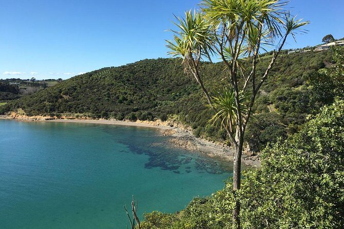 Waiheke Island Double Headland Coastal Walk - Final Thoughts