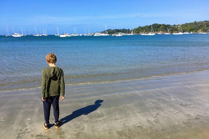 Waiheke Island Experience Tour - Authentic Insights from Reviews