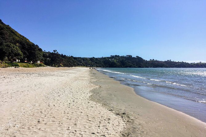 Waiheke Island Experience Tour - Who Will Enjoy This Tour?