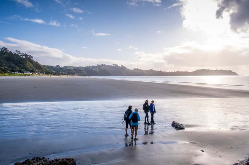 Waiheke Island: Forest and Beach Premium Guided Walk - An Authentic Waiheke Island Experience: Forest and Beach Guided Walk