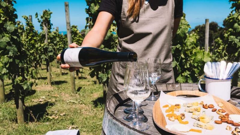 Waiheke Island Gourmet Food and Wine Tour with Lunch - Who Should Consider This Tour?