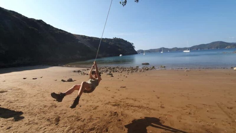 Waiheke Island: Gulf Marine Park Sailing Adventure & Lunch - Final Thoughts: Who Will Love This Tour?