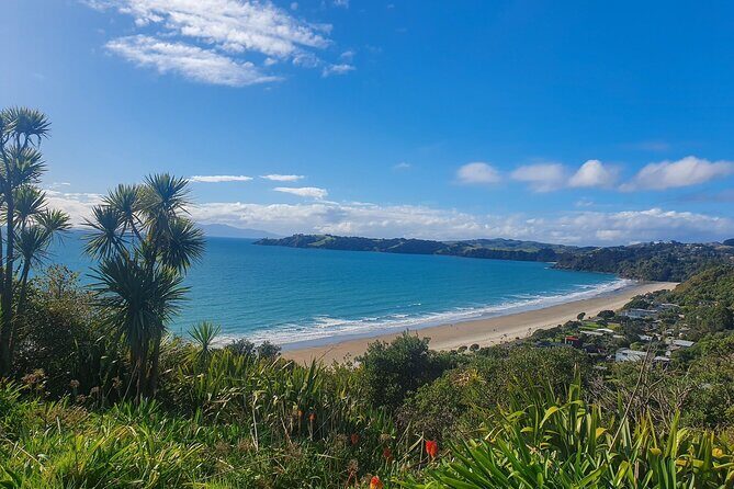 Waiheke Island Half Day Scenic Wine and Lunch - Who Will Love This Tour?