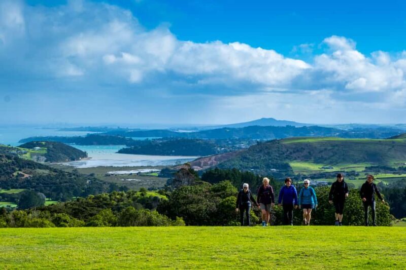 Waiheke Island: Premium Vineyard, Wine Tasting and Bush Walk - Discovering Waiheke on Foot and Sip