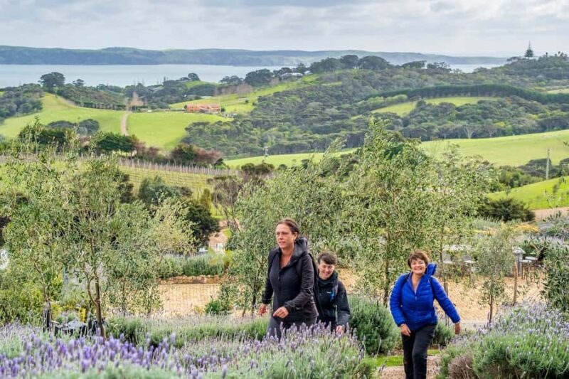 Waiheke Island: Premium Vineyard, Wine Tasting and Bush Walk - Wine Tasting at Waiheke’s Finest Wineries