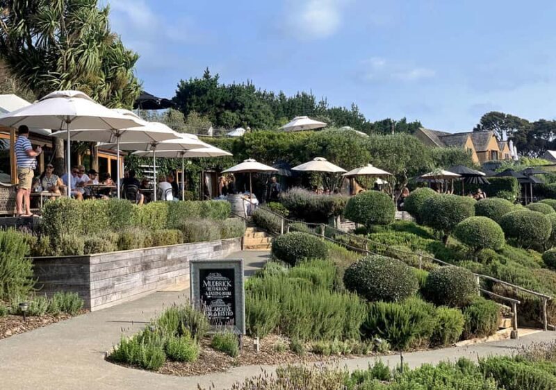 Waiheke Island: Premium Vineyard, Wine Tasting and Bush Walk - The Experience from Travelers’ Perspectives