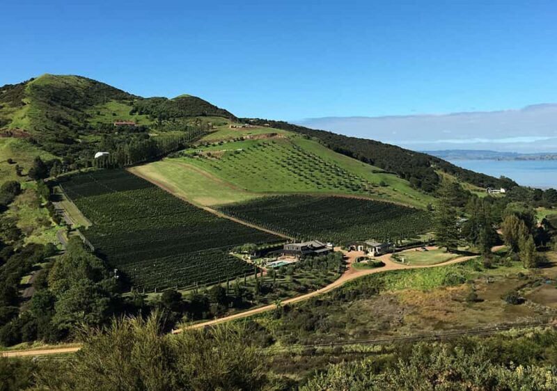 Waiheke Island: Premium Vineyard, Wine Tasting and Bush Walk - FAQ