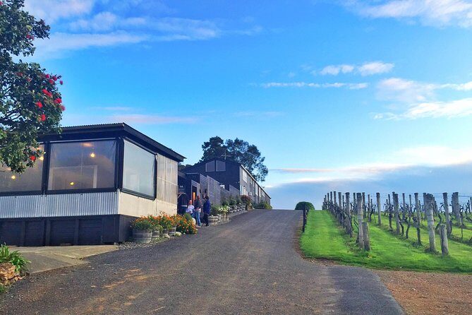 Waiheke Island Premium Wine Tour with Tastings - Key Points