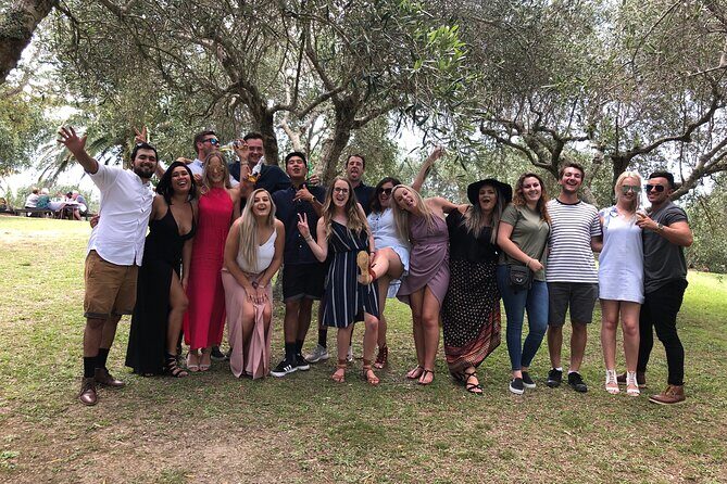 Waiheke Island Premium Wine Tour with Tastings - Authentic Reviews: What Travelers Say