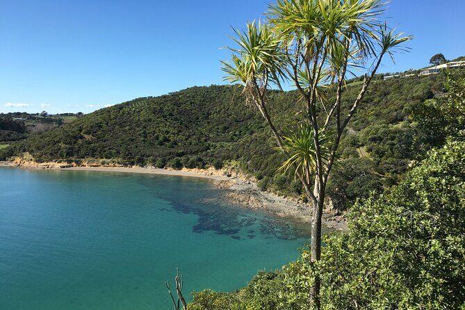 Waiheke Island Private Double Headland Walk - The Southern Route: Bush, Coves, and Artistic Touches