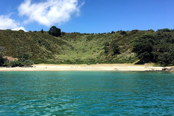 Waiheke Island Private Double Headland Walk - Practical Details: What You Need to Know