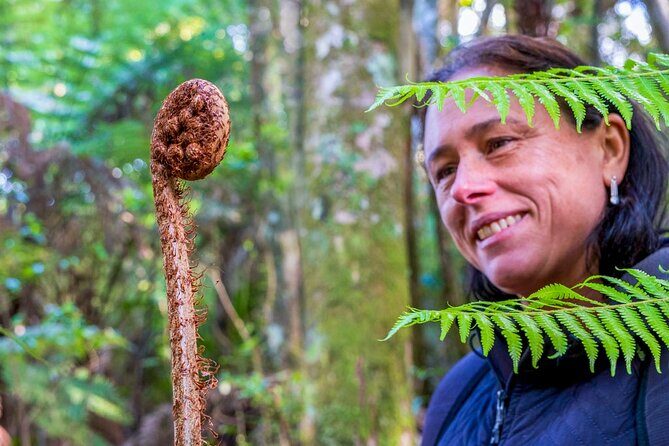 Waiheke Island Private History and Heritage Tour - Food, Drink, and Local Flavors